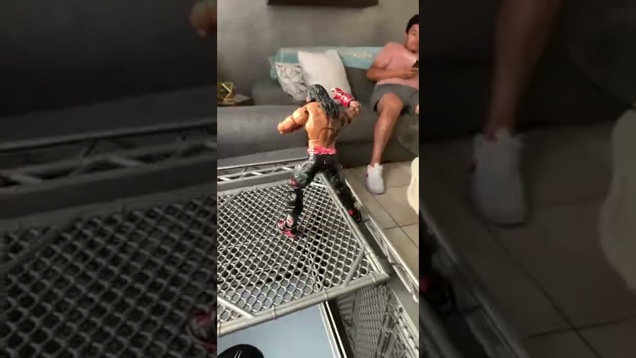 John cena vs Roman reigns hell in the cell match