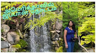 ANDERSON JAPANESE GARDENS | BEAUTIFUL GARDENS | SUMMER VISIT | CHICAGO ATTRACTIONS |BOTANICAL GARDEN