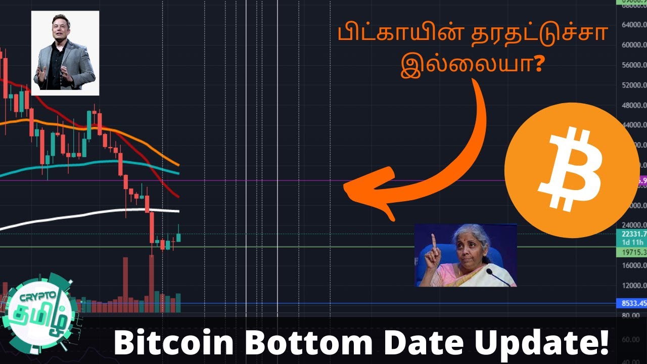Important Bitcoin Market Update - Bottom Eppo?  Elon Musk Bitcoin Holdings - Crypto Tamil