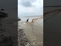 You Won't Believe What Was Hiding Under This River! 😲#fishing #fishingtutorial #shorts #fishingdaily