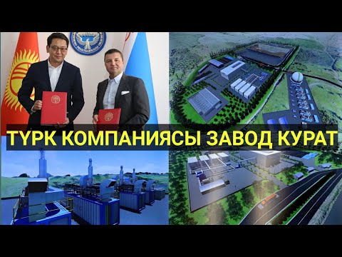 Video: Тритон кандайча курулат