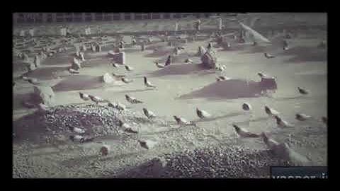 ( كل نفس ذائقة الموت ....) تلاوة مؤثرة ادريس ابكر💔