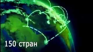 видео Работать и путешествовать одновременно: реально!