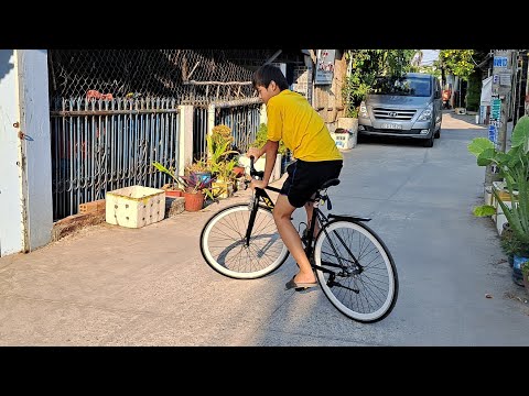 review xe đạp