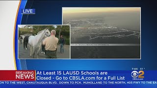 Horses Being Evacuated At Sullivan Canyon