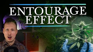 The Entourage Effect - Is it REAL?