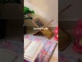 انشودة سبع طوال أنزلت انشودة سبع طوال أنزلت