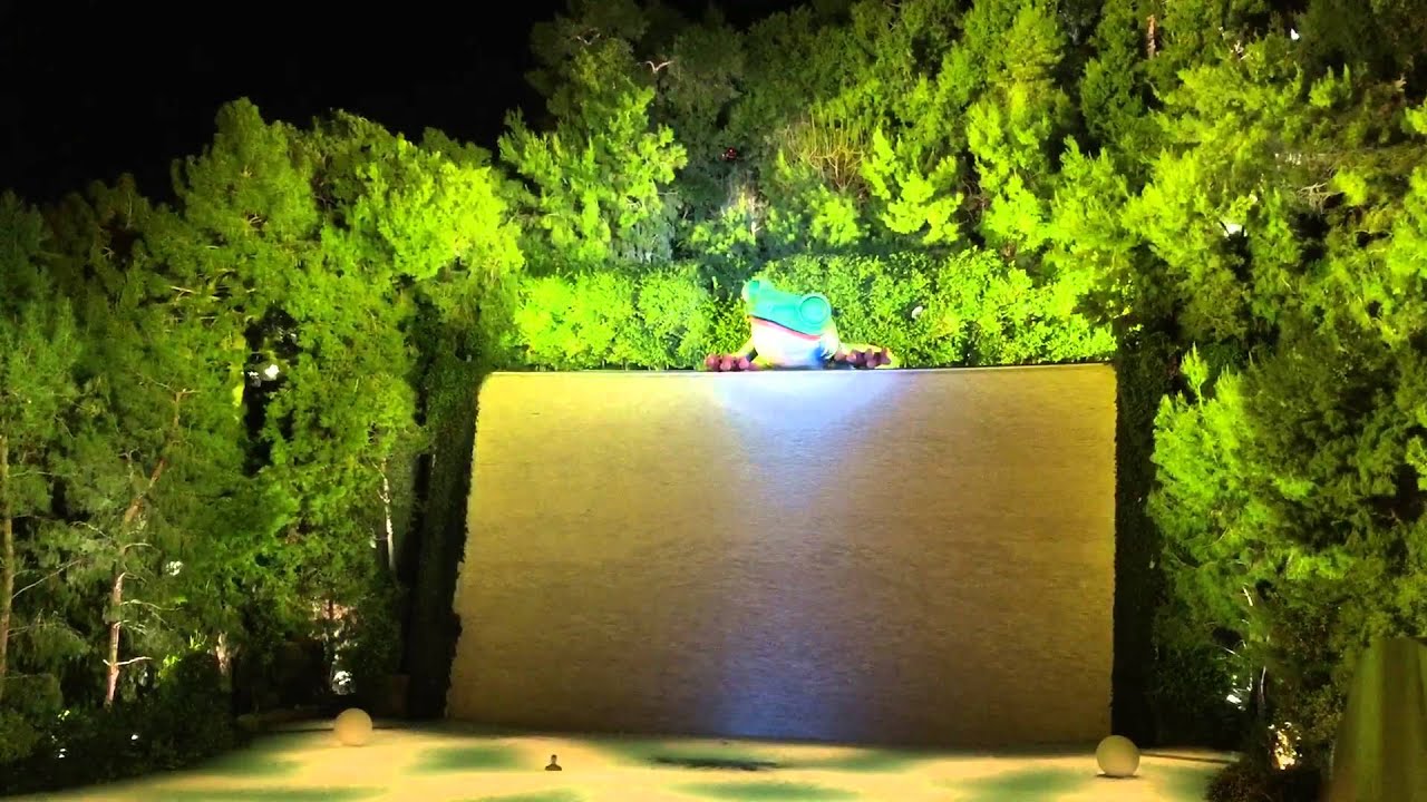 The Frog at the Wynn YouTube