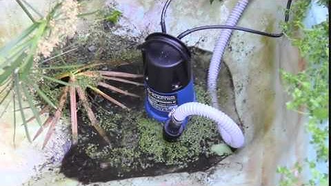 Máy bơm hút nước thải hộ gia đình, bơm nước sạch sân vườn