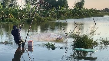 ĐỈNH CAO 2025 Những Pha Kéo Vó Hốt Bạc Triệu Mùa Lũ! Cá Lớn Kéo Vó Sập Cả Sông