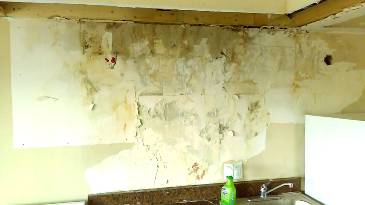 Cincinnati Plaster wall Water damage Restoration clip 1 YouTube