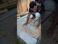 Building a $600 walkway.. Working with Unc..#walkway #pathway #DIY