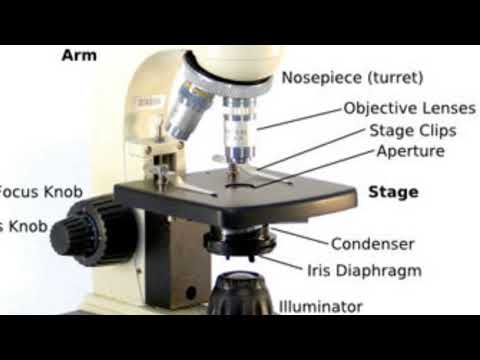 MICROSCOPE SONG JAMES8HG 