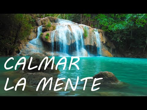 Video: Cómo Relajarse En La Naturaleza Con Una Chica