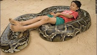 7 YEAR OLD HAS A LARGE 16 FOOT LONG PYTHON AS A PET - YouTuƄe