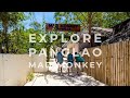 Explore panglao mad monkey  the best backpacker hostel in the philippines  mad monkey hostels