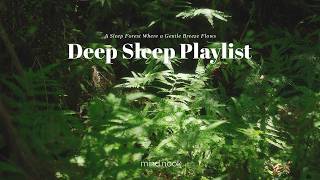 A Sleep Forest Where a Gentle Breeze Flows | 3 Hours Sleep Music, Relaxing Piano, Forest Ambience
