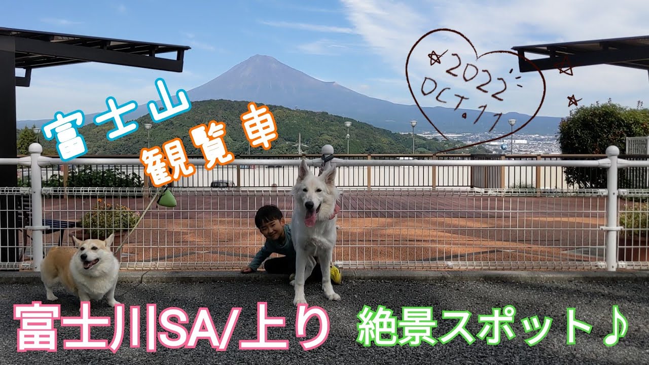 【富士川SA/上り】富士山の眺めが最高のサービスエリアの魅力を伝えたい♪ YouTube