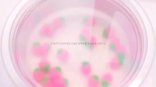 :정체모름: