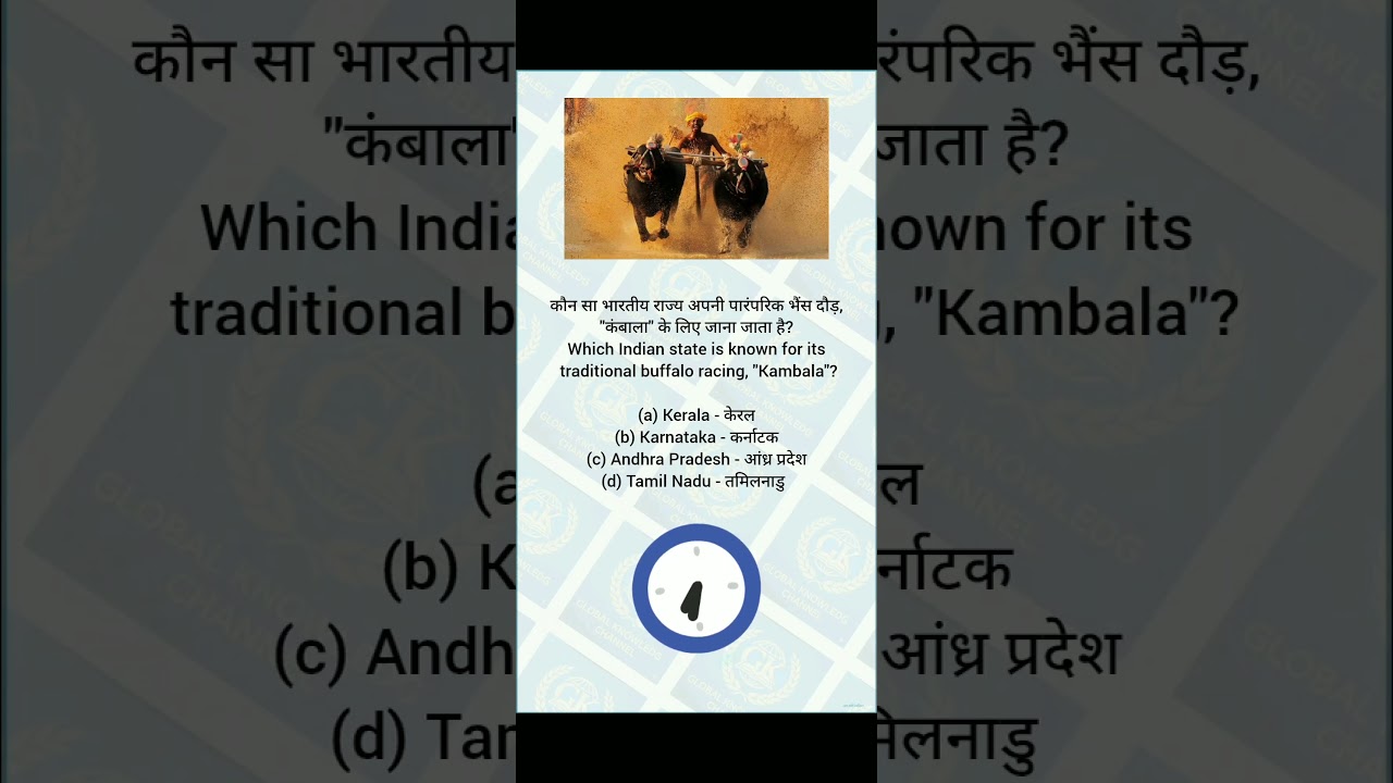 Traditional buffalo racing kambala  