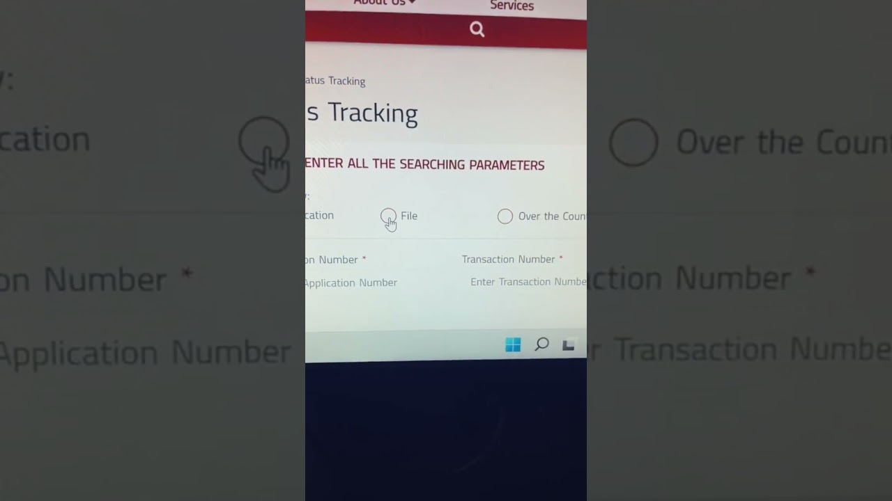 How to Check Visa Status in UAE?