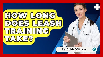How Long Does Leash Training Take? - PetGuide360.com