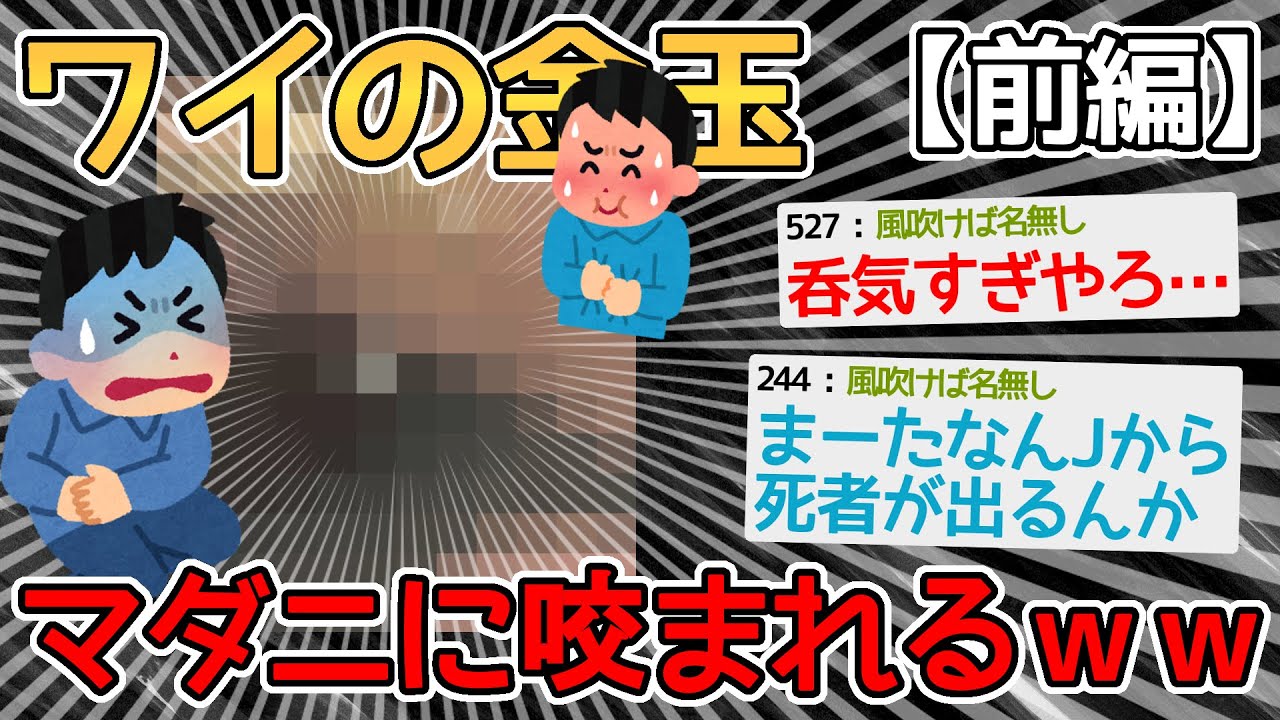 【前編】ワイの〇玉がマダニに咬まれているンゴォォォォ！！→スレ立ててないでとっとと病院行けよｗｗｗｗ【2ch面白いスレ】