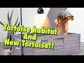 Surprise NEW TORTOISE and “New” Aivituvin Tortoise Habitat!