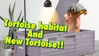 Surprise NEW TORTOISE and “New” Aivituvin Tortoise Habitat!