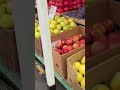 Яблука 🍎 25-40 грн