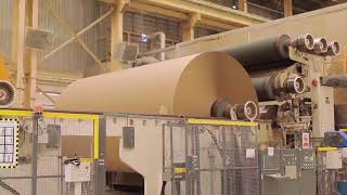 PACKAGING BUSINESS IN CIRCULAR ECONOMY