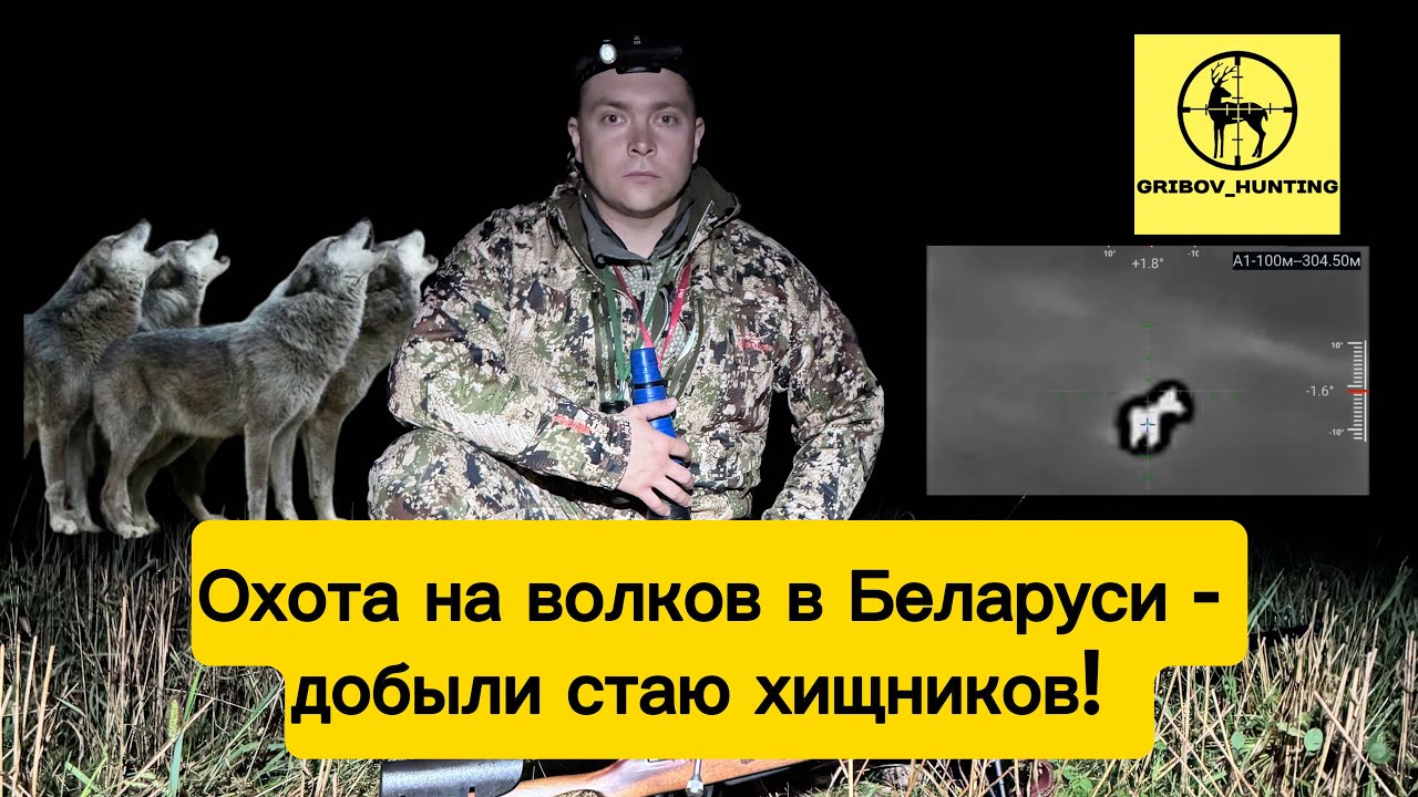 Охота на волков в Беларуси - добыли стаю хищников! 