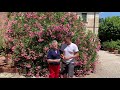 Montepulciano villa sant anna winery with roger bissell