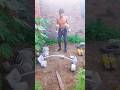 #desi Gym and Desi home work out triceps day #motivation #shorts viral videos shahbajfitness 🏋️