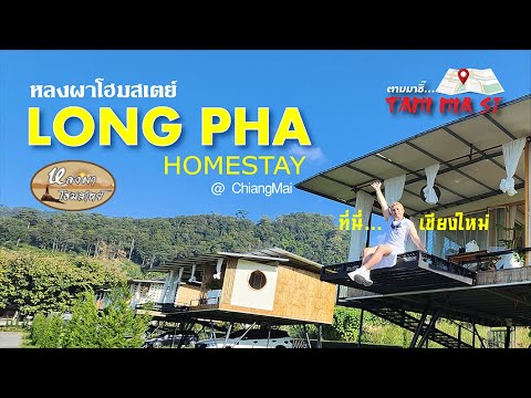 Tam Ma Si #ที่พักเชียงใหม่ แนะนำที่พักแม่แตง #หลงผาโฮมสเตย์ long pha homestay