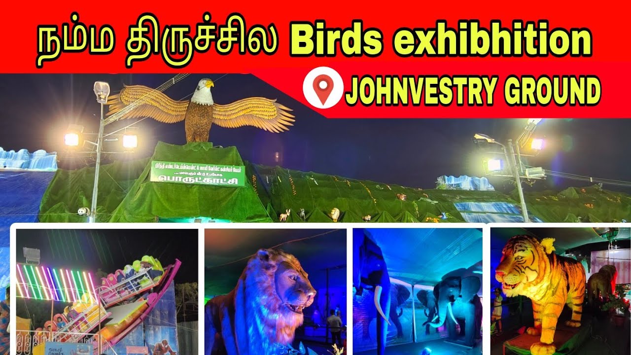 Trichy animal exhibitiontrichy johnvestry exhibition birds exhibition