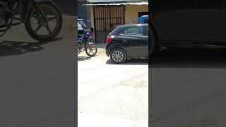 Loving Dog Pushing a Boy Riding a Toy Car