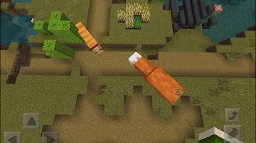 Fat cat and fat fox Minecraft lol