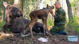 Это прощание разбило ему сердце, но утром произошло нечто невероятное!