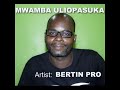 Mwamba uliopasuka by Bertin Pro