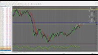 Dr kathy kirkland forex