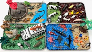 Animals Diorama In 4 Tray | Small World Ocean Safari Farm Dinosaur World