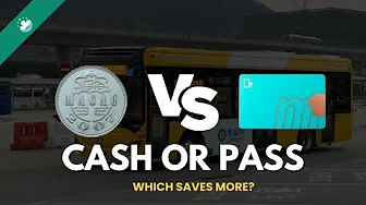 Navigating Macau by Bus | Easy Tips for Tourists