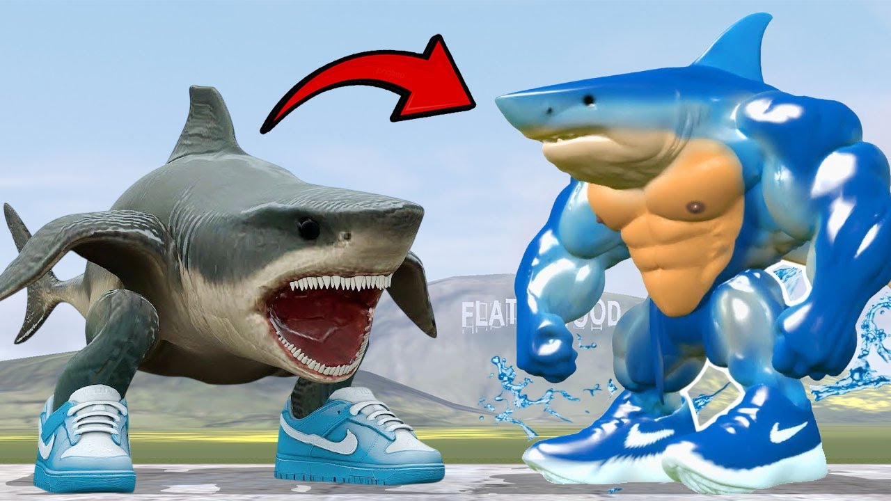 maxresdefault.jpg