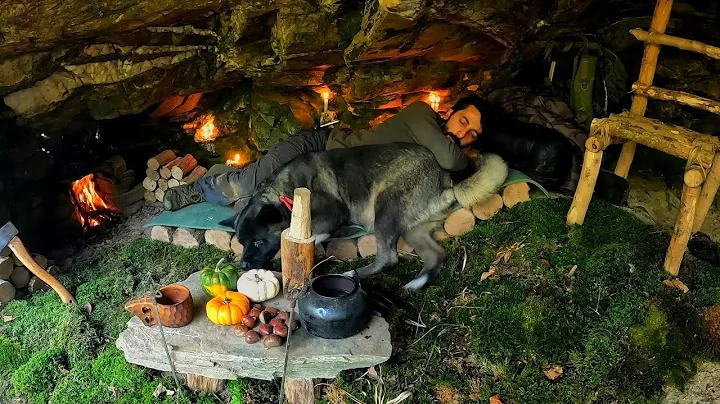 7 Days Solo Survival Camping In Rain Forest, Building Warm Bushcraft Cave Shelter with Fireplace