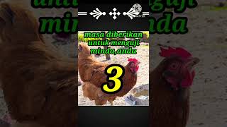teka teki lucu dan menjebak part 1#shorts#kuiz jenius#perah otak#jawapan#shortvideo#tes jenius# teka teki lucu dan menjebak part 1#shorts#kuiz jenius#perah otak#jawapan#shortvideo#tes jenius#