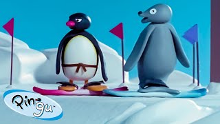 Pingu Loves Sports! 🐧 | Pingu - Official Channel | Cartoons For Kids