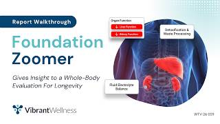 Foundation Zoomer Report Walkthrough
