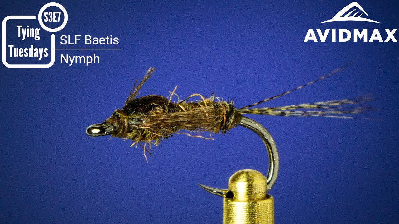 How to tie the SLF Baetis Nymph AvidMax Fly Tying Tuesday Tutorials