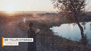Bir Yolun Kıyısında